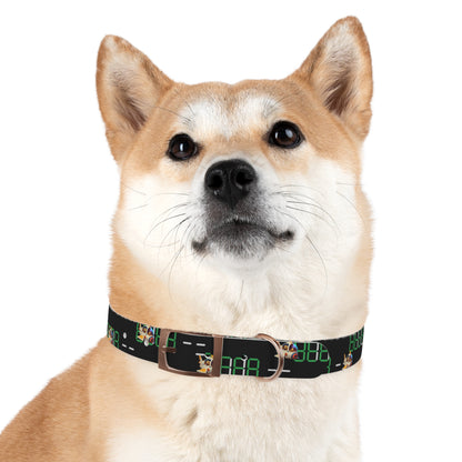 Dog Collar - MEMEXCORP 