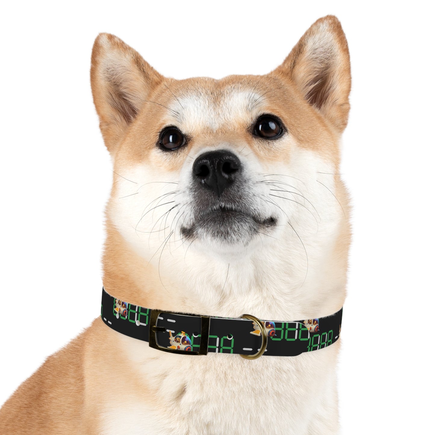 Dog Collar - MEMEXCORP 