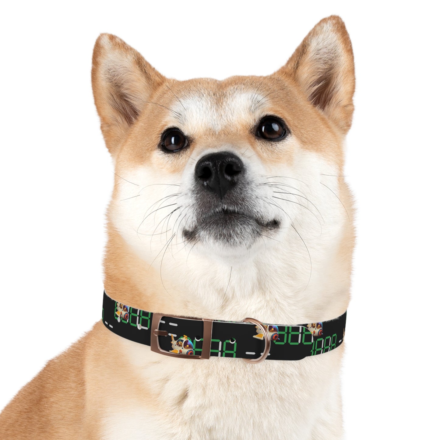 Dog Collar - MEMEXCORP 