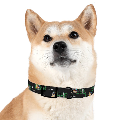 Dog Collar - MEMEXCORP 